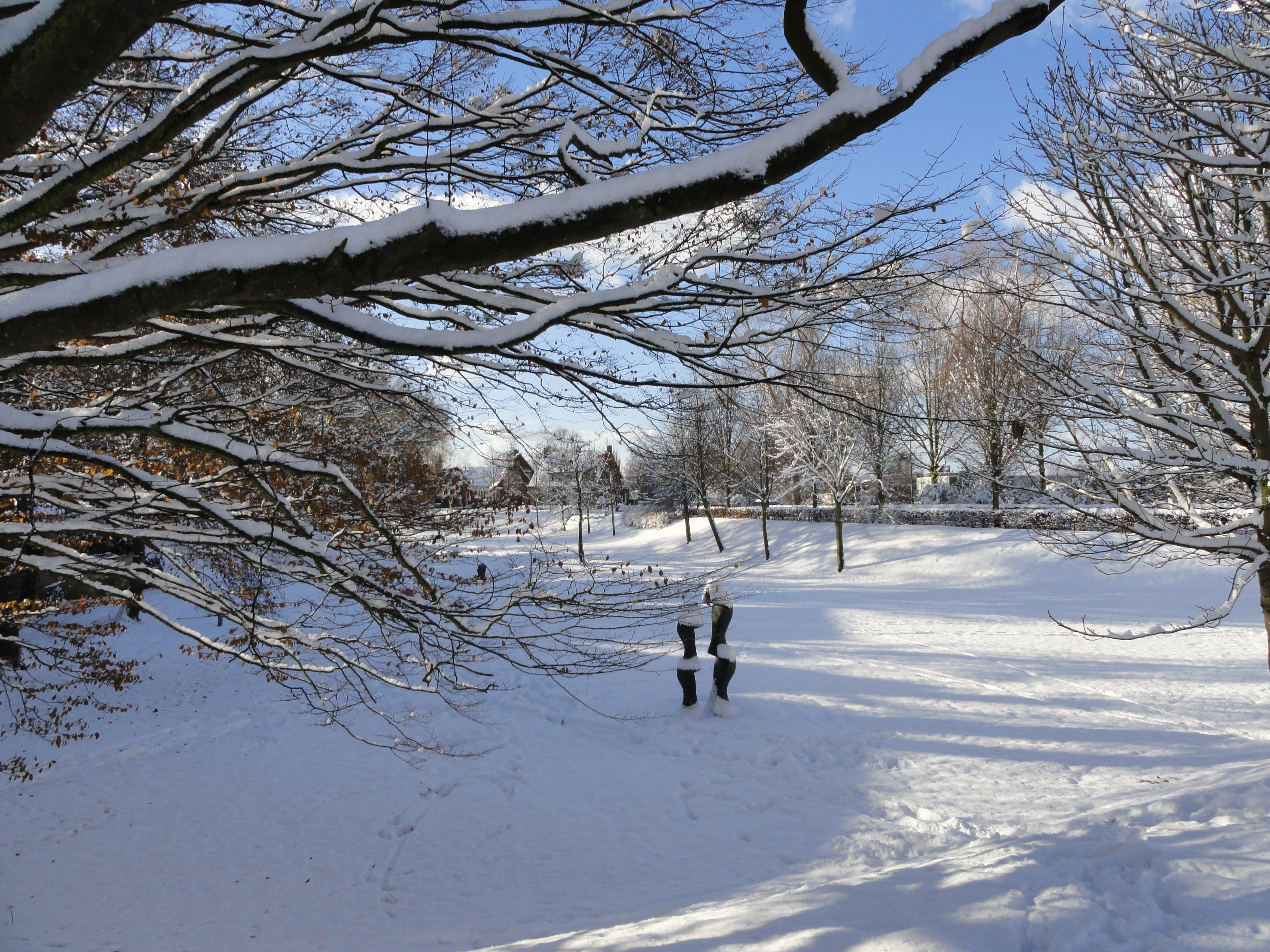 De Zoutevest in de sneeuw, 2010.
