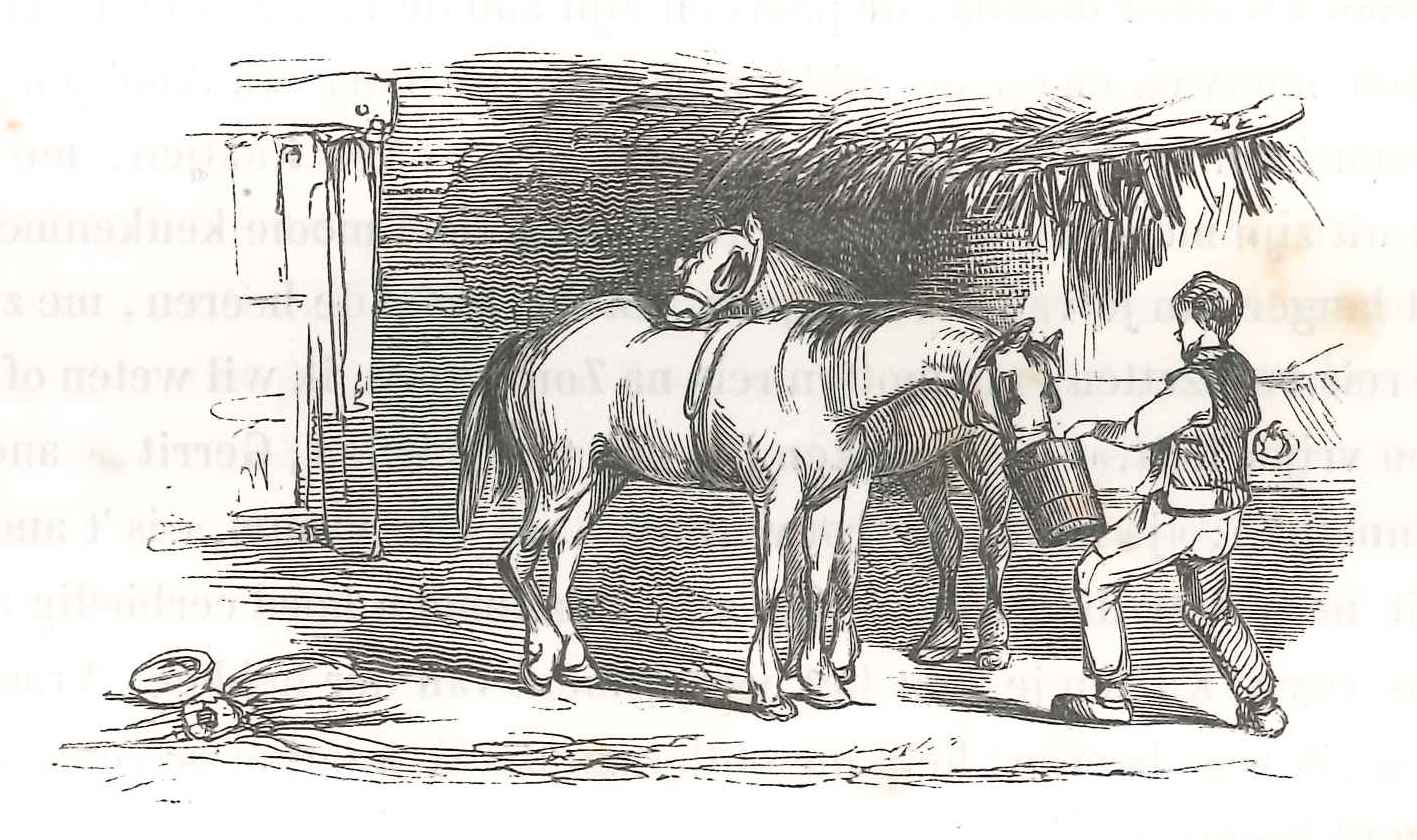 De huurkoetsier, 'Karakterschets', 1841.