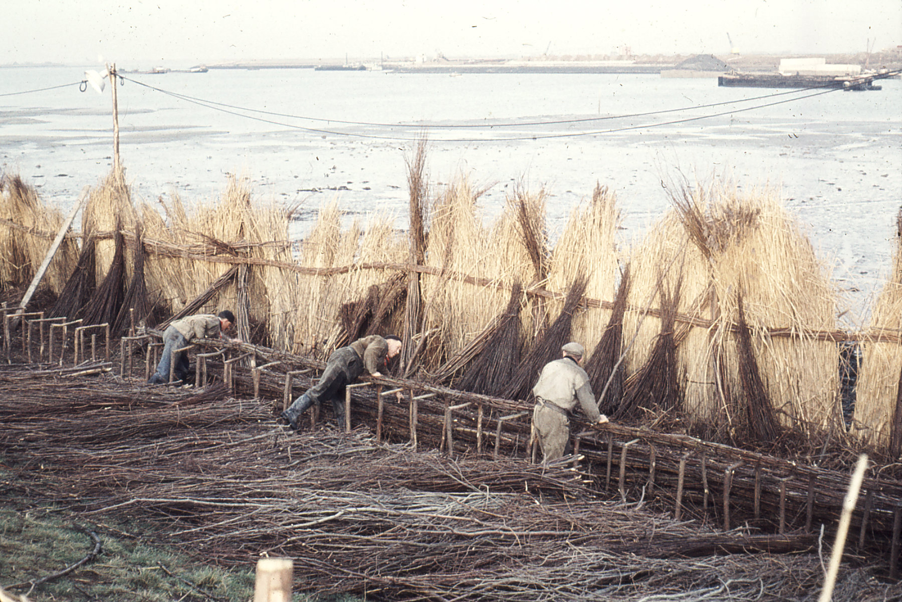 Dijkwerkers aan het werk bij Katseveer, 1959.