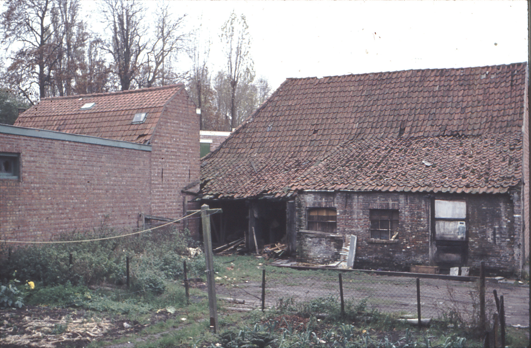 Bebouwing op het Groene Weidje, 1962.