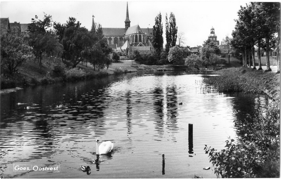 De Oostvest met zwanen, ca. 1950.