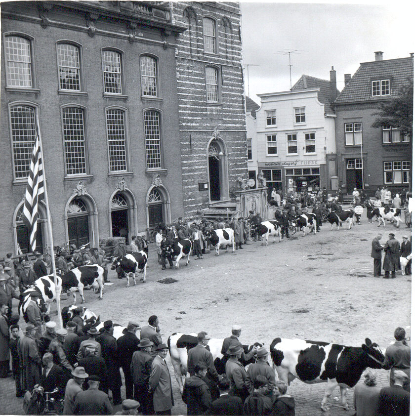 Fokveedag voor het stadhuis, 1963.