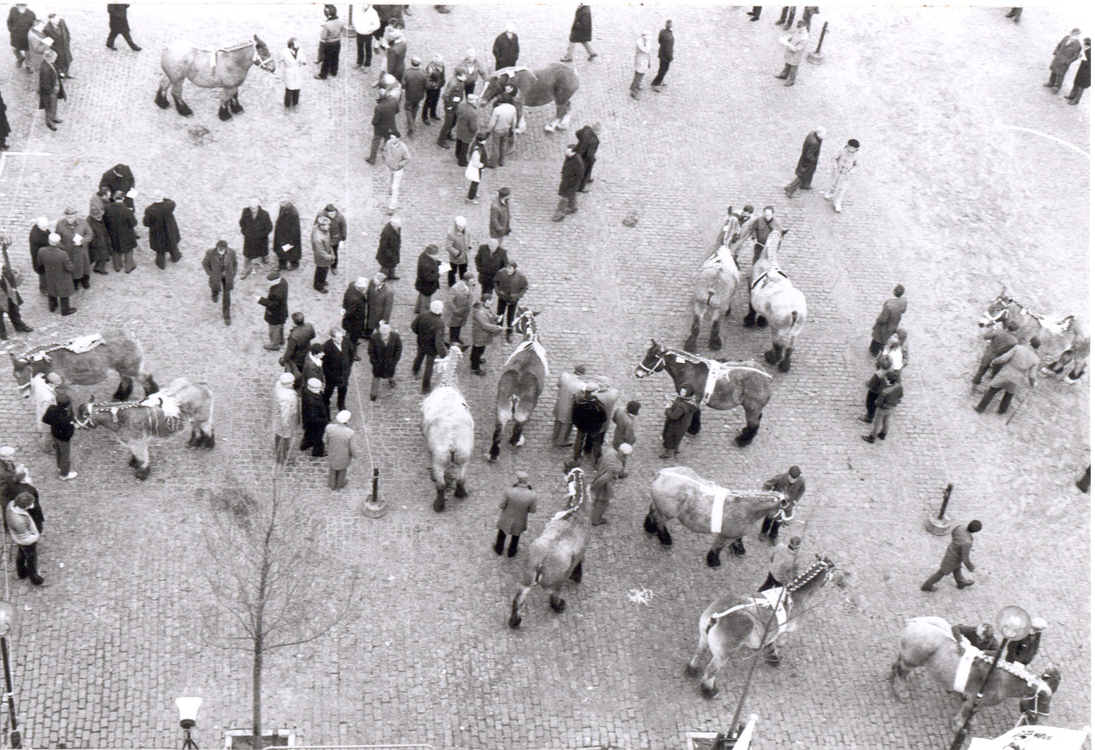 Paardenkeuring op de Grote Markt, 1983.