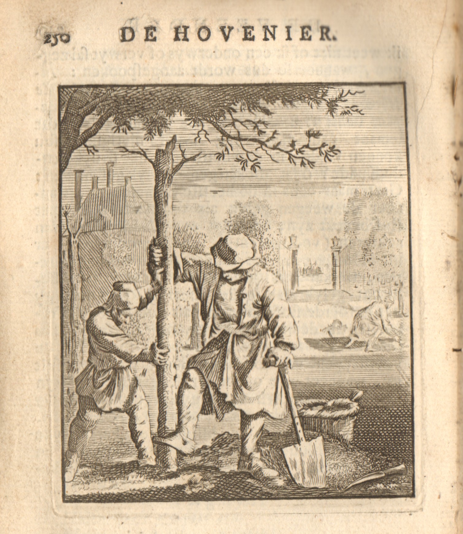 De hovenier, 18e eeuw.