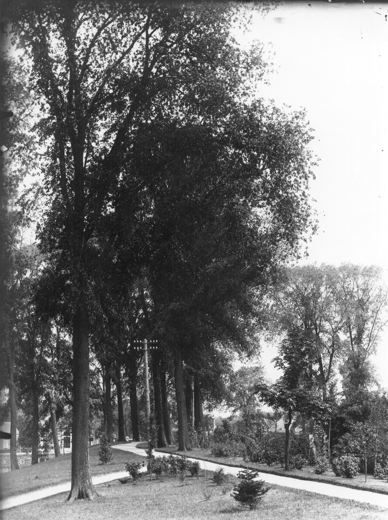 Beplanting van de Oostwal, 1923.