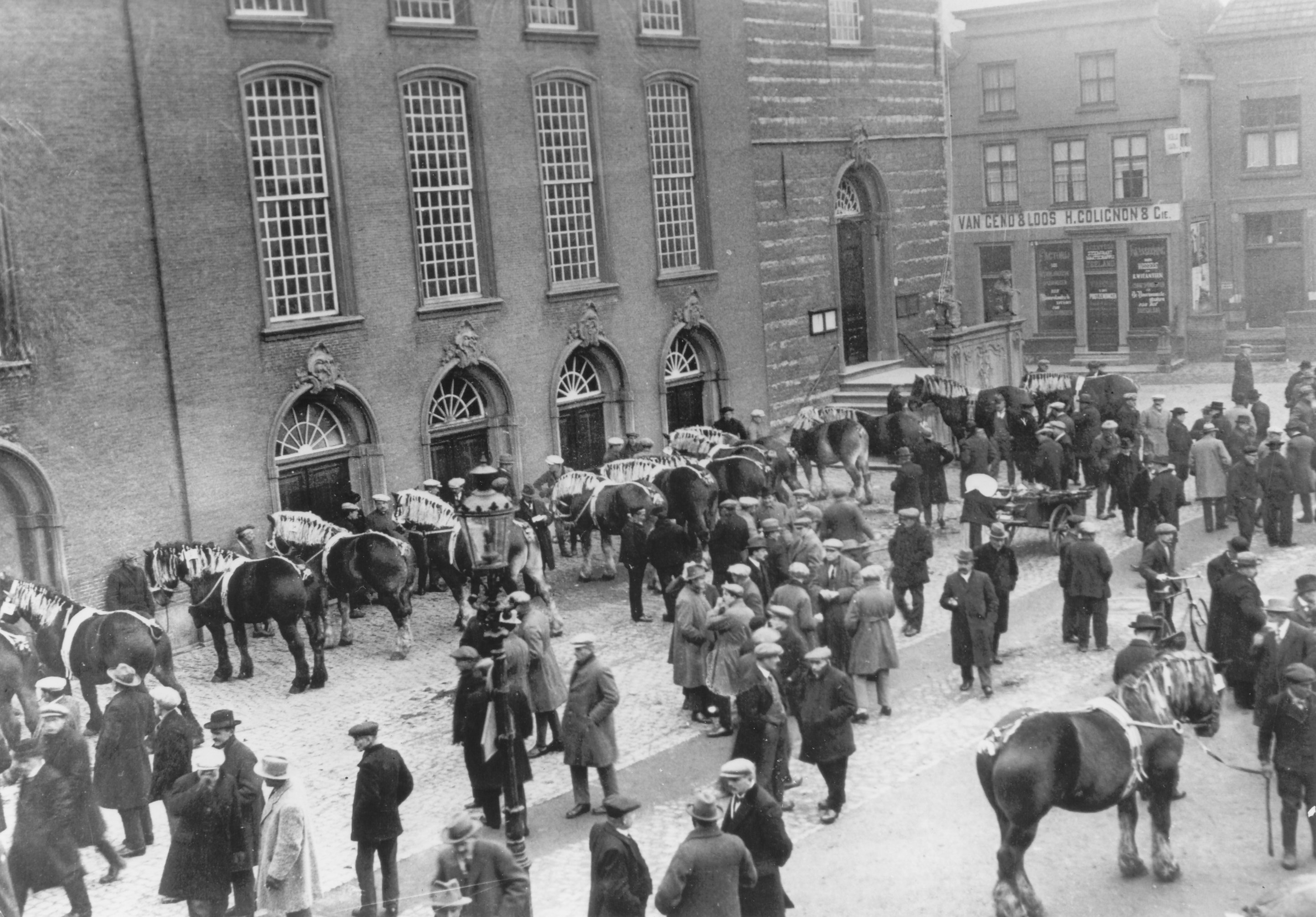 Keuring van trekpaarden voor het stadhuis, 1930.