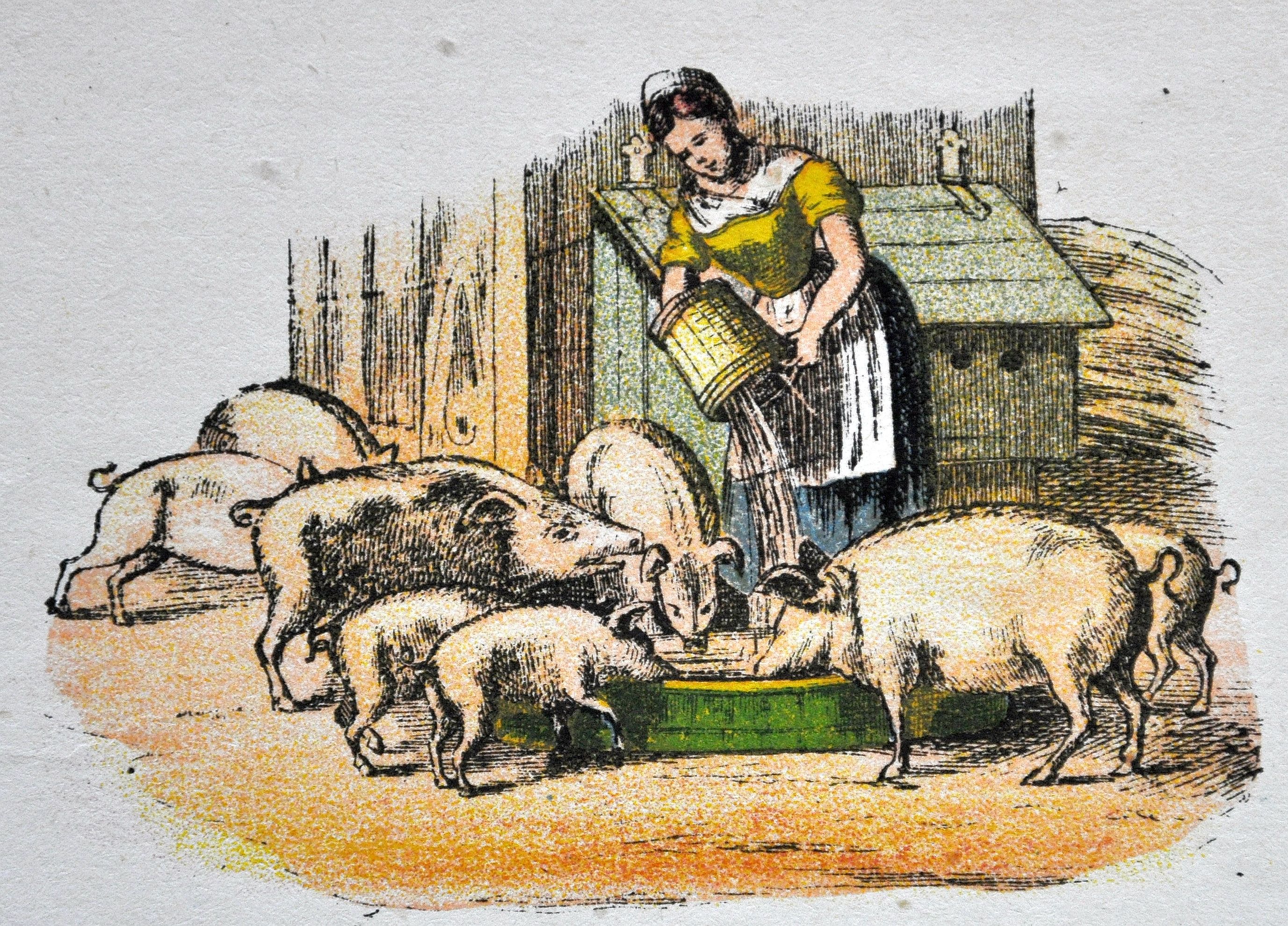 Hoedster van varkens, centsprent, 19e eeuw.