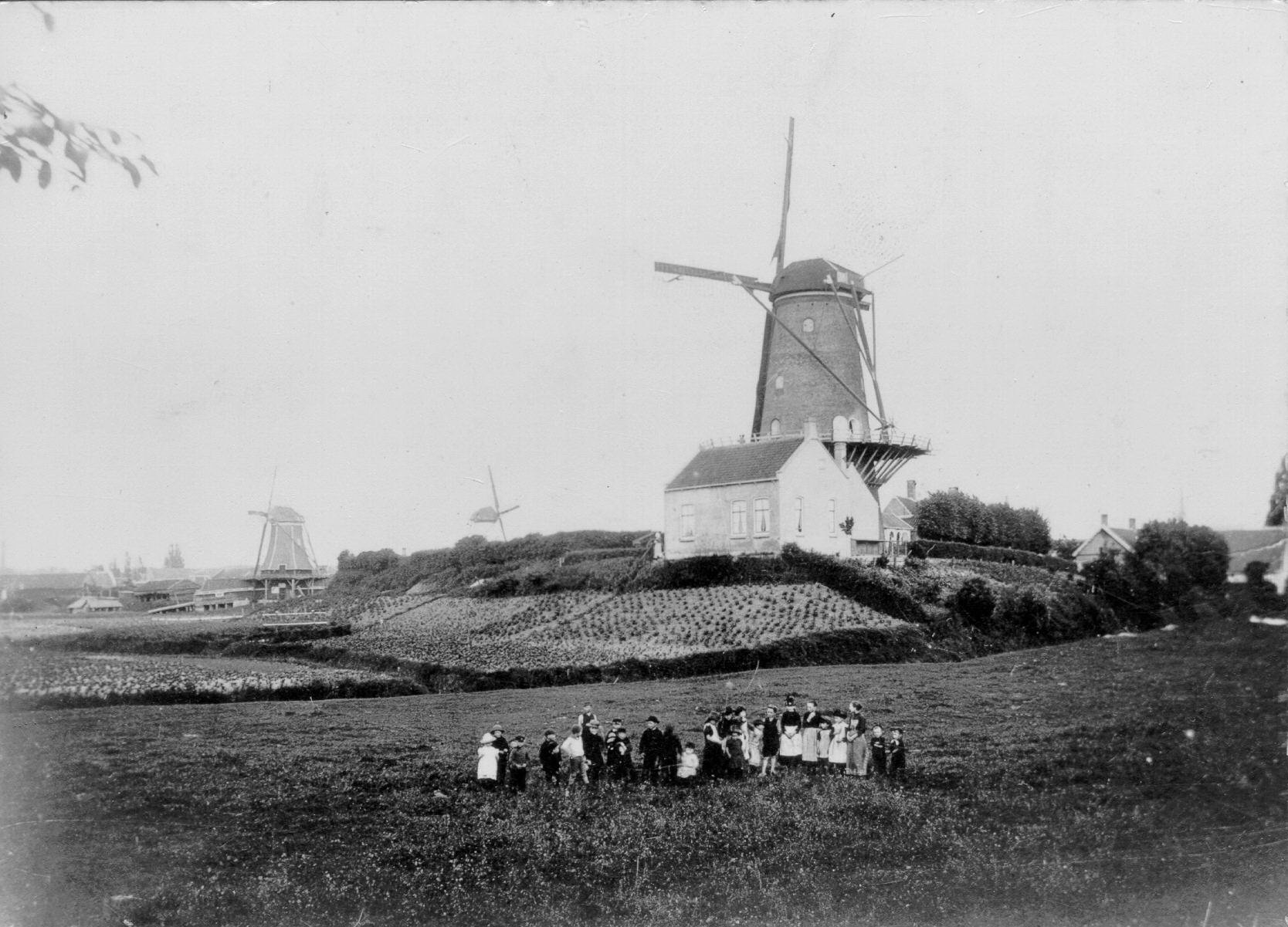 Van links naar rechts: Houtzaagmolen 'De Eendracht', molen 'De Vijf Gebroeders' en 'De Korenbloem'. Op de voorgrond een groep mensen. Coll. B. van de Plasse. Gemeentearchief Goes.